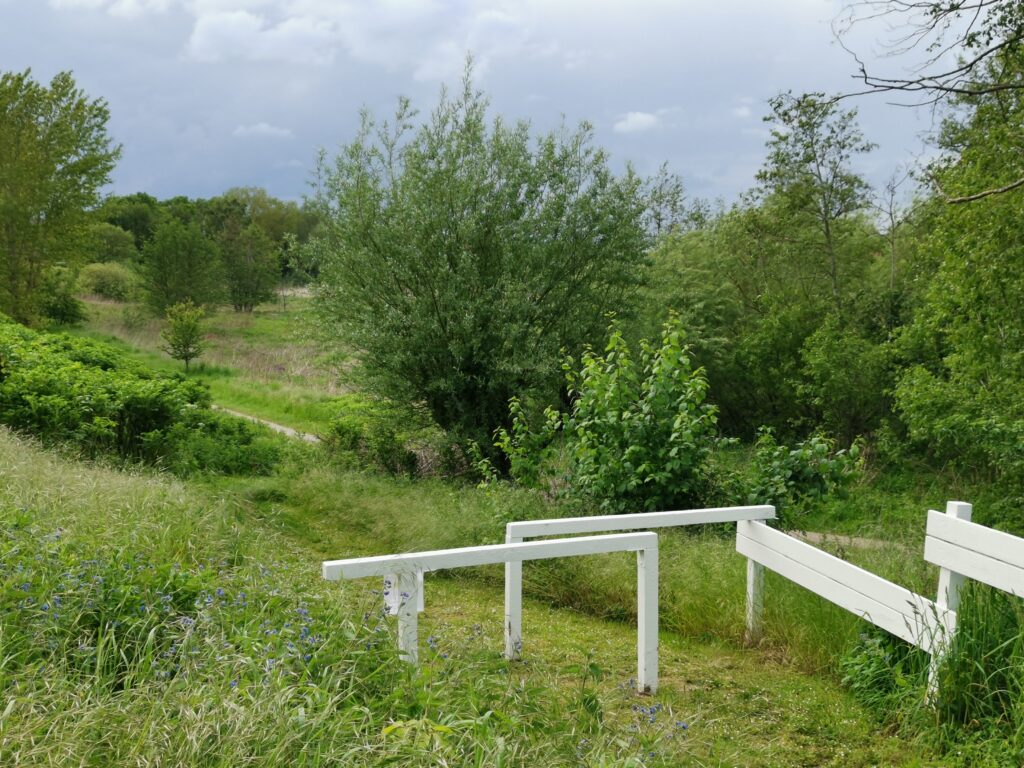 Nedgang til Ådalen