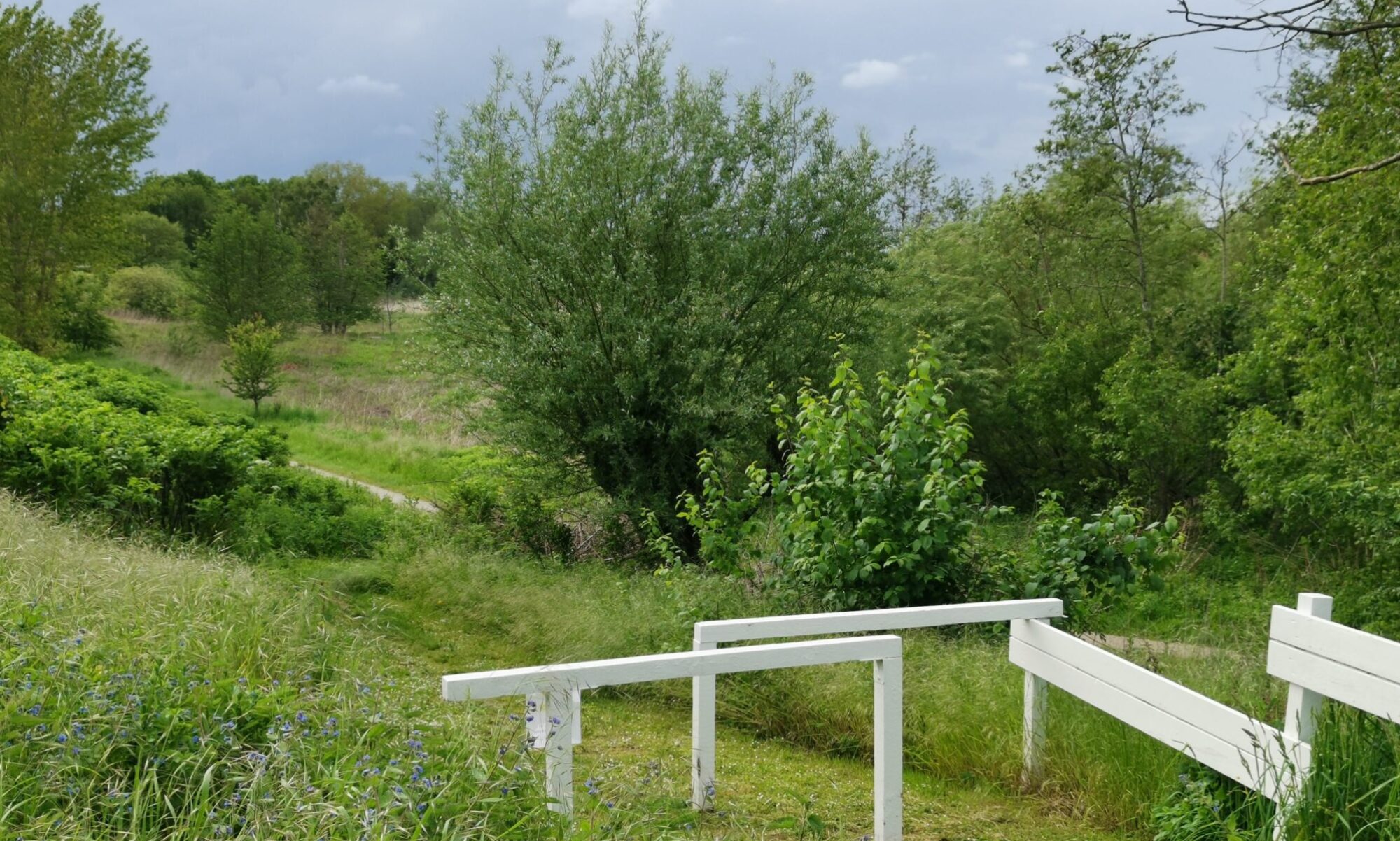 Nedgang til Ådalen